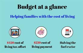 Budget at a glance – Video